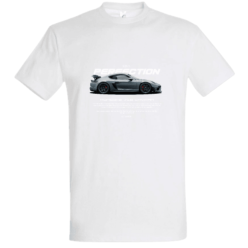 Porsche PERFECTION (1)
